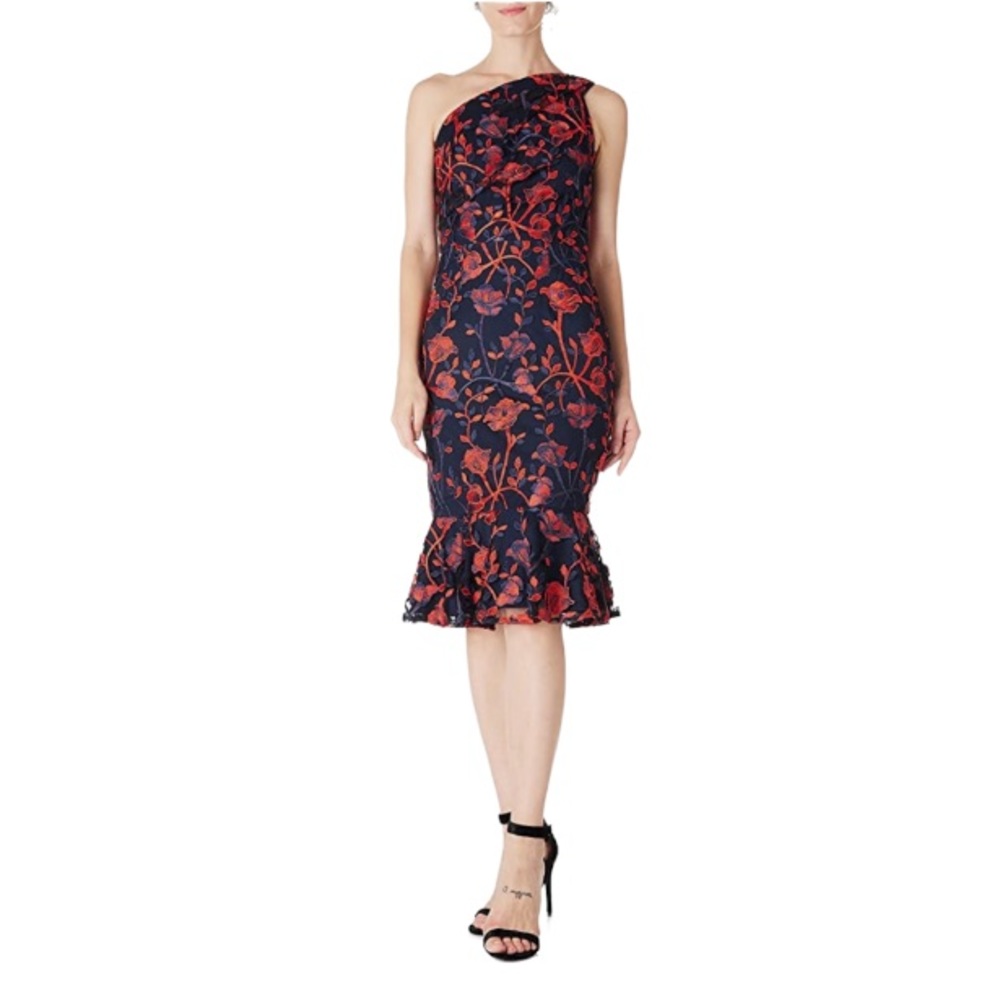 Social Graces Dress